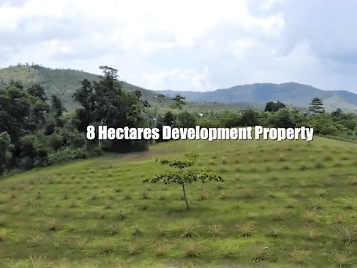 Discover Your Paradise: 8-Hectare Palawan Farm for Sale!