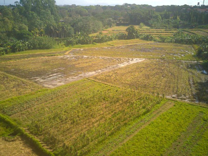 200 sqm Commercial Lot in Dasma