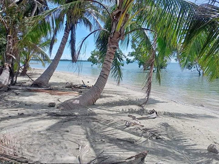 5,000sqm Beach Property with House in Caramay, Roxas Palawan