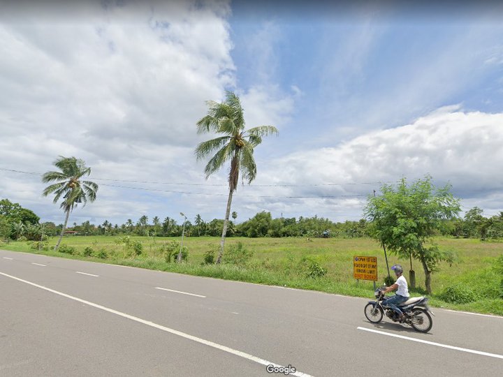 3.2 HECTARES LOT FOR SALE (Along Highway) BRY. PAGO TANAUAN LEYTE