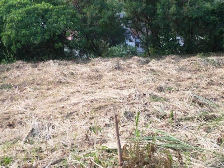 814 sqm Lot for Sale in Antipolo City