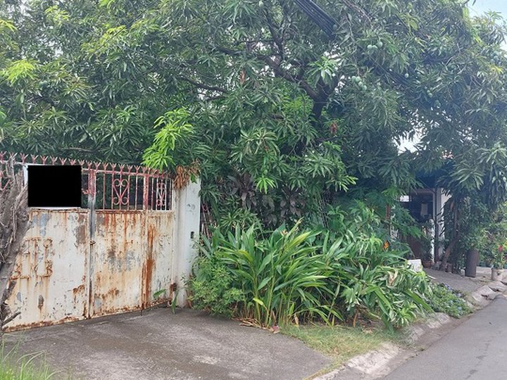 327sqm Residential lot for Sale in United Paranaque Subd Sucat Road Paranaque City