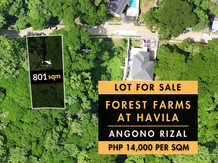 Forest Farms at Havila, Angono Rizal  Vacant lot for Sale