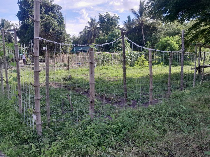 120 sqm Inner Lot Up for Grabs!