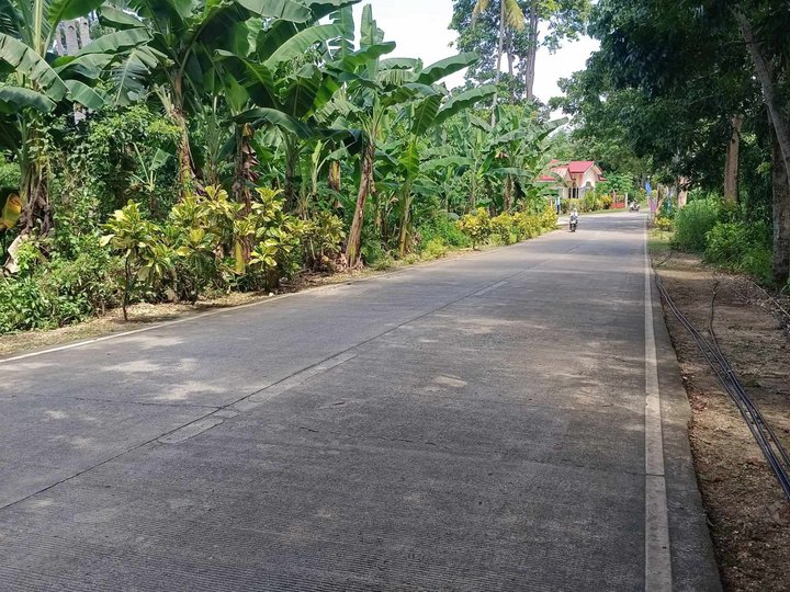 2,100 sqm Lot Near Kea Beach Resort    Only 1,500 per sqm