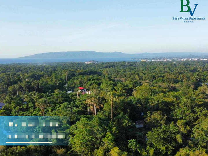 Overlooking Oceanview Lot for Sale Tinago, Dauis, Panglao Island, Bohol