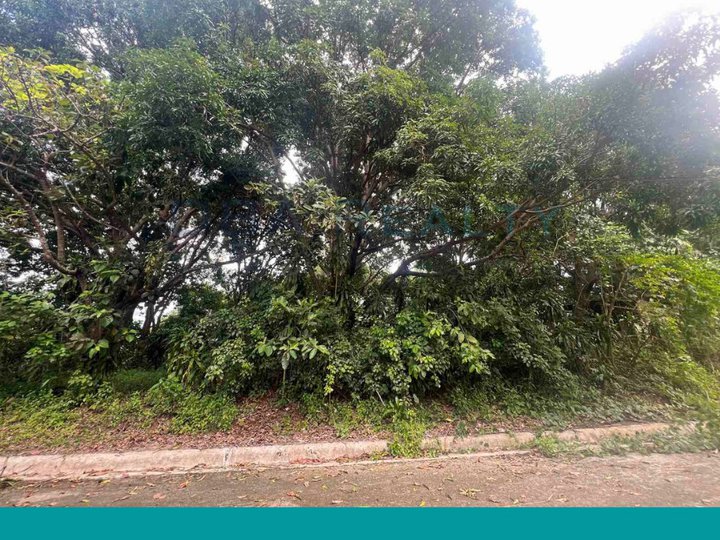 404 sqm Vacant Lot For Sale in Eastland Heights, Antipolo Rizal