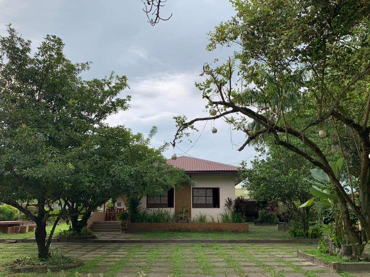 PRIVATE RESORT WITH MANGO FARM IN PAMPANGA WITH OPERATIONAL BUSINESS