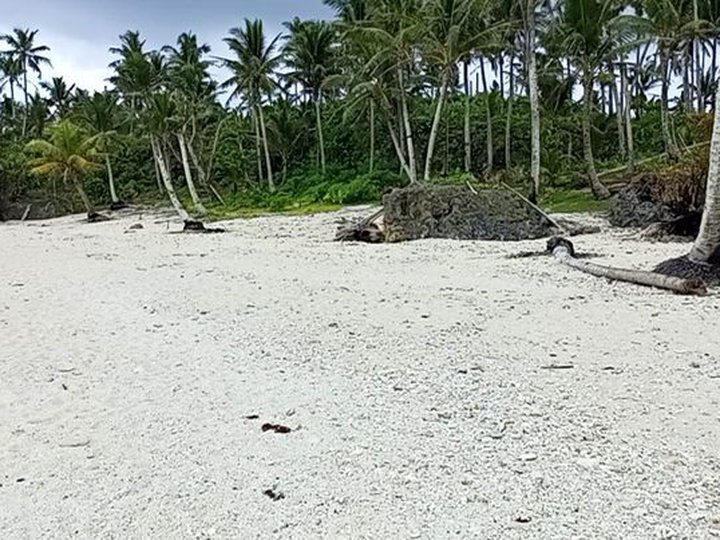 Beachfront Property For Sale Pilar, Siargao Island