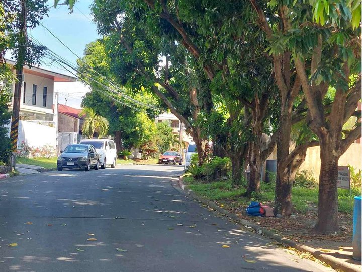 495sqm Residential lot for Sale in Alabang Hills Village Muntinlupa City