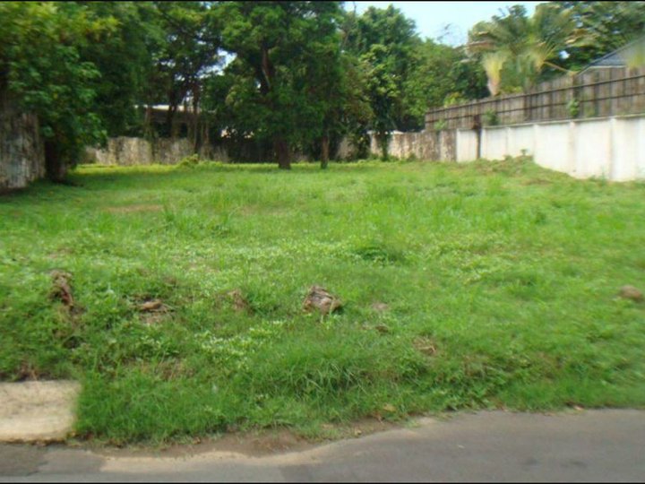 LOT FOR SALE NEAR MARCOS HIGHWAY INSIDE EASTVILLE CAINTA RIZAL