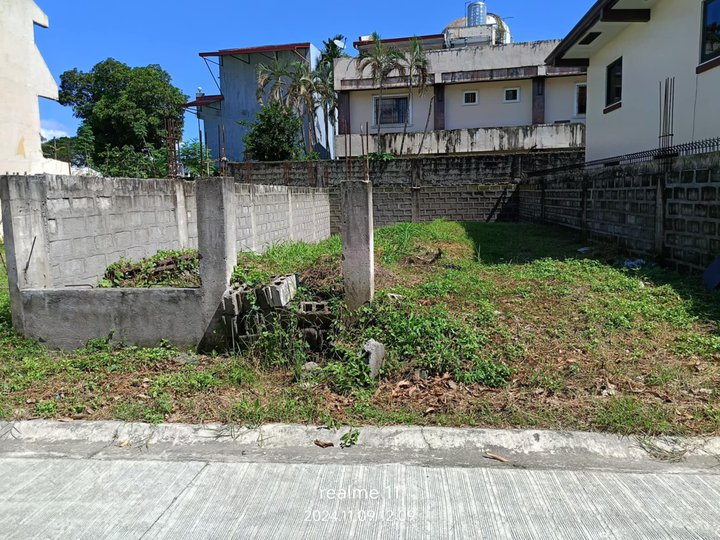 Lot for Sale in Town and Country Molino 3 Bacoor Cavite