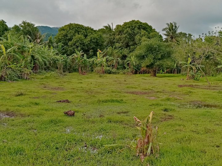 3000 SQM For Sale 3,000 SQM Residential Lot in Jala-Jala, Rizal