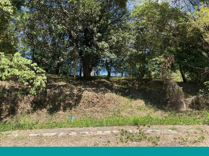 687 sqm Vacant Lot For Sale in Eastland Heights, Antipolo Rizal