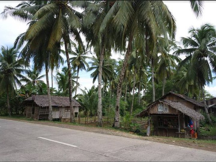 Lot for Sale  at San Fernando, Bislig Surigao Del Sur