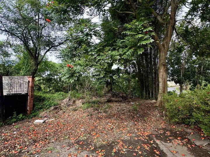 The Glens at Parkspring Residential Lot For Sale in San Pedro Laguna +