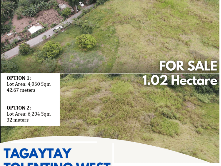 LOT FOR SALE IN TAGAYTAY