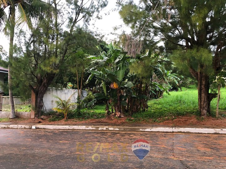 326 SQM Residential Lot for sale in Royale Tagaytay Estates Phase 1