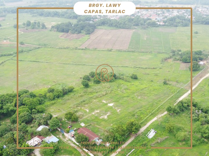 20 hectare Rawland for Sale | Capas Tarlac