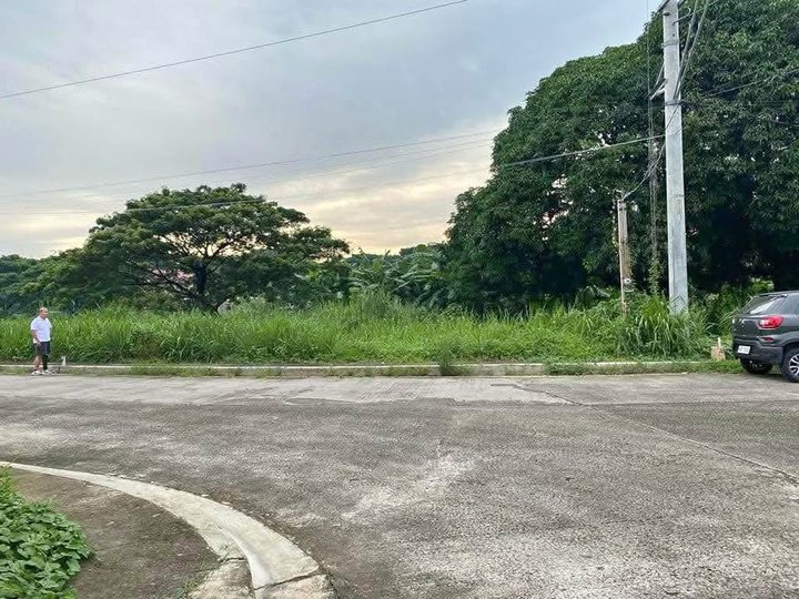206sqm Residential lot for Sale in The Orchard Phase 2 Salitran Dasmarinas Cavite
