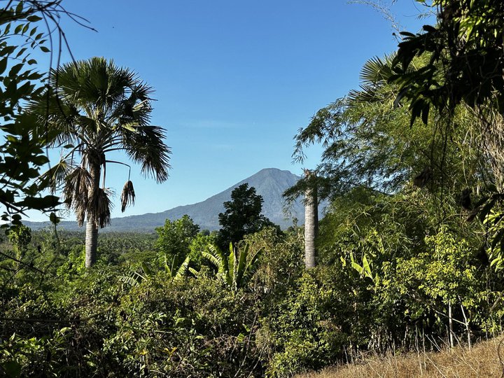 FARM LOT FOR SALE BRGY. SAN MATEO, DOLORES, QUEZON