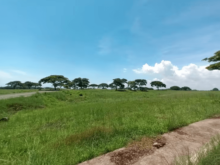 718 sqm Residential Lot For Sale in Tanuan, Tanza Cavite