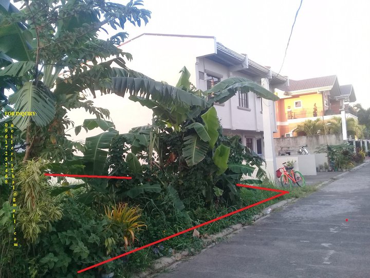 Residential Lot For Sale in Binan Pagsanjan Laguna