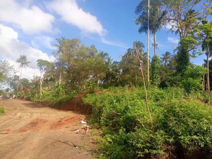 1000 sqm Farm lot for sale at Alfonso Cavite