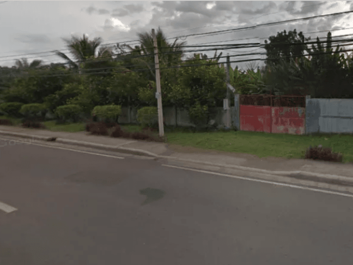 10 hectares Vacant Lot for Lease in Mintal, Davao City, Davao del Sur