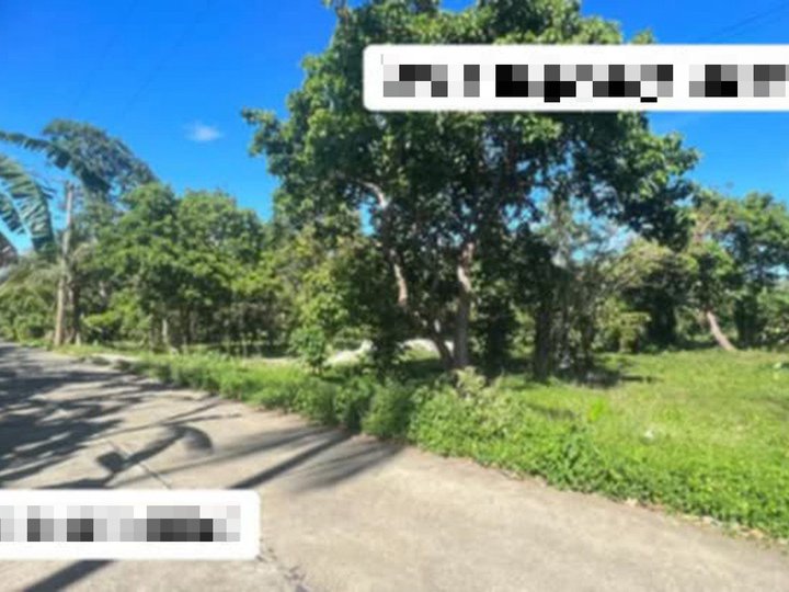 3,900 per sqm Fruit Bearing Farm lot for sale in Bailen Cavite