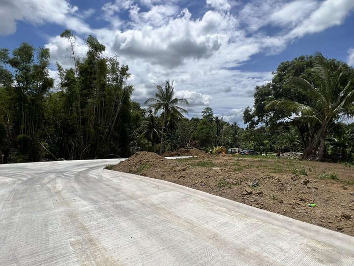 300sqm Ready to use Farm Lot for sale in Indang cavite