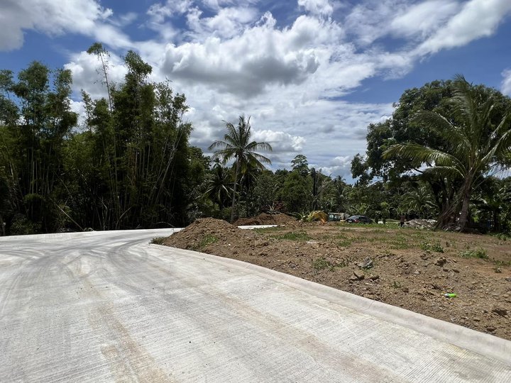 Develop 300sqm Farm Residential Lot for sale in Indang Cavite