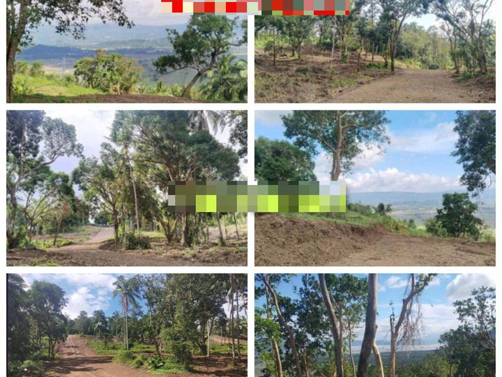 Residential lots in mabitac laguna