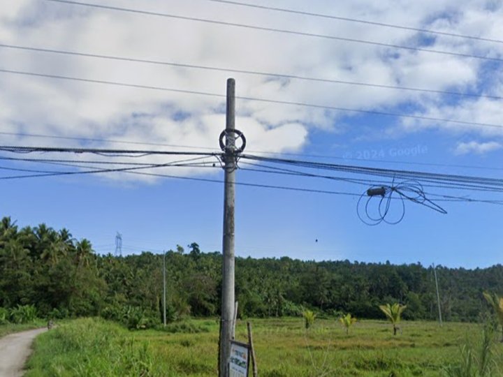 Lot For Sale Along the Highway in Lambao, Santa Margarita Samar