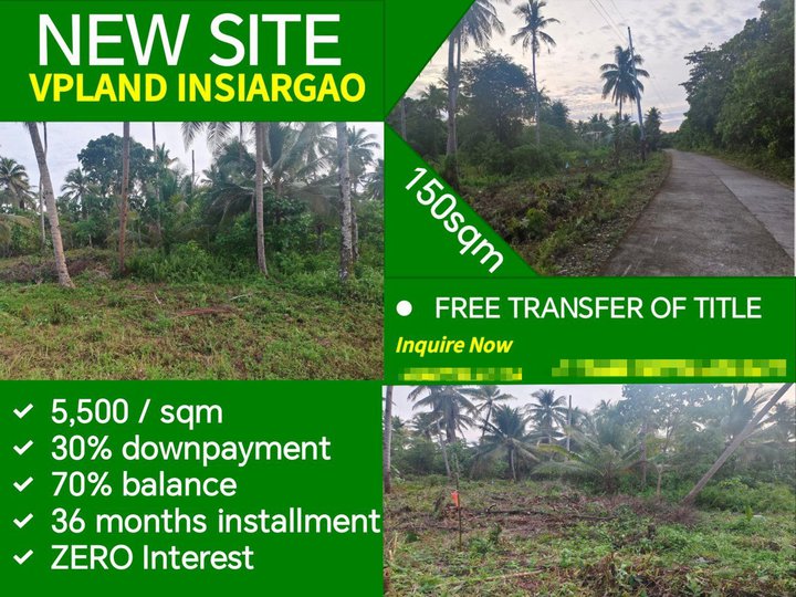 Farm Lot For Sale in Pilar Surigao Del Norte