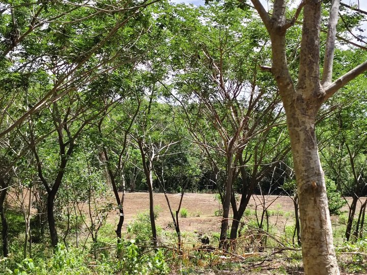 Installment FarmLot in Bulacan