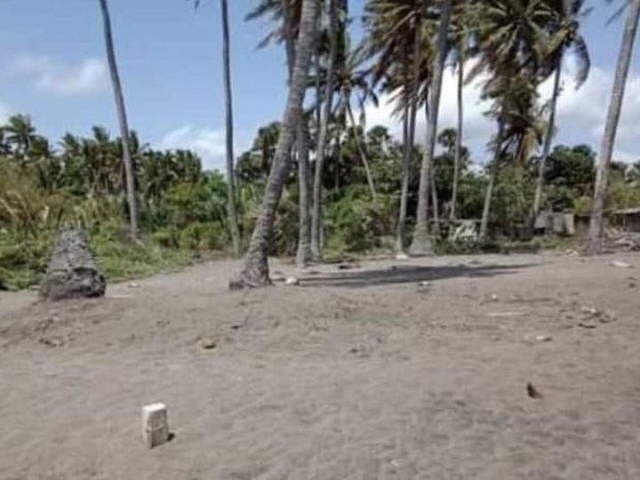 6.5 hectares LOT FOR SALE along the shoreline