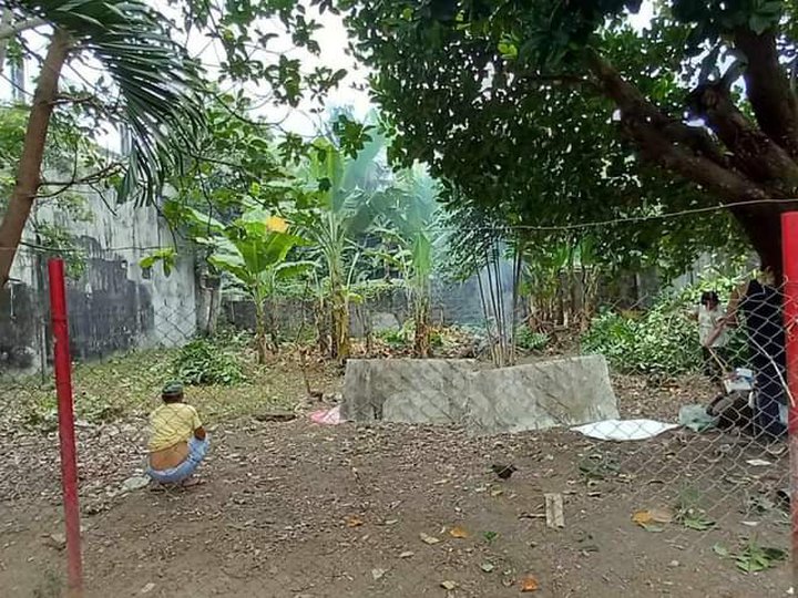 250 sqm Residential Lot For Sale Cuesta Verde Subd Antipolo Rizal