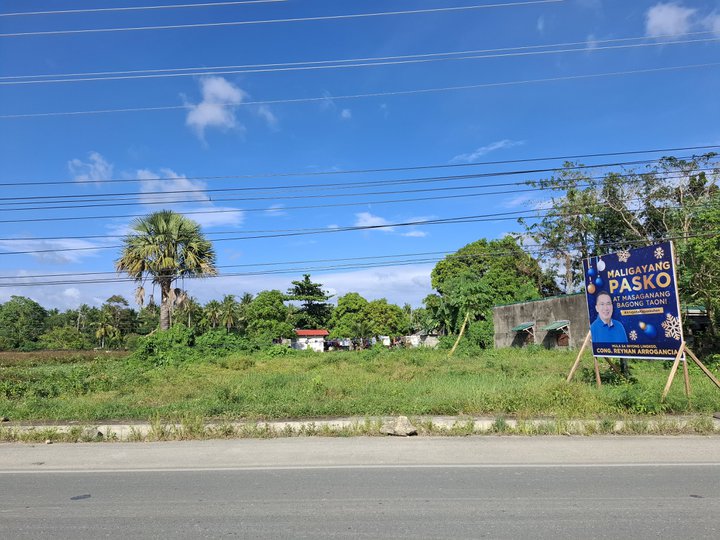 Commercial Lot for Rent in Catanauan, Quezon