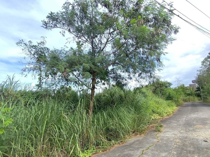 220 SQM Residential lot in Oasis Subd, Mansilingan, Bacolod City