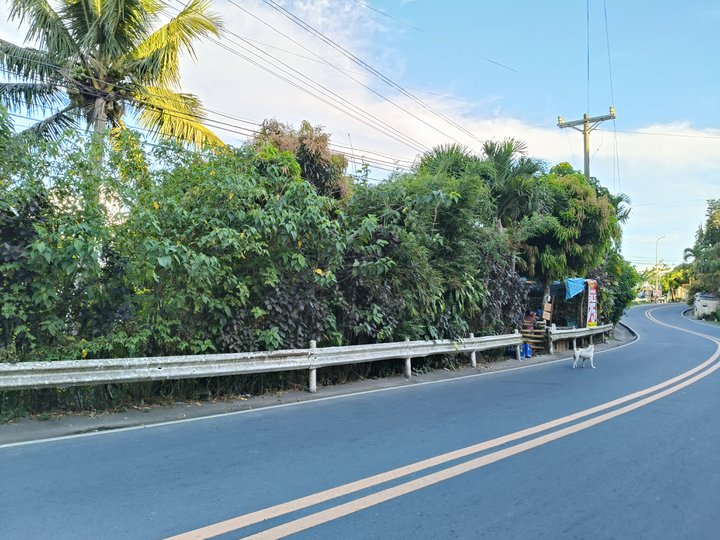 1.8 hectares commercial property for sale in tagaytay