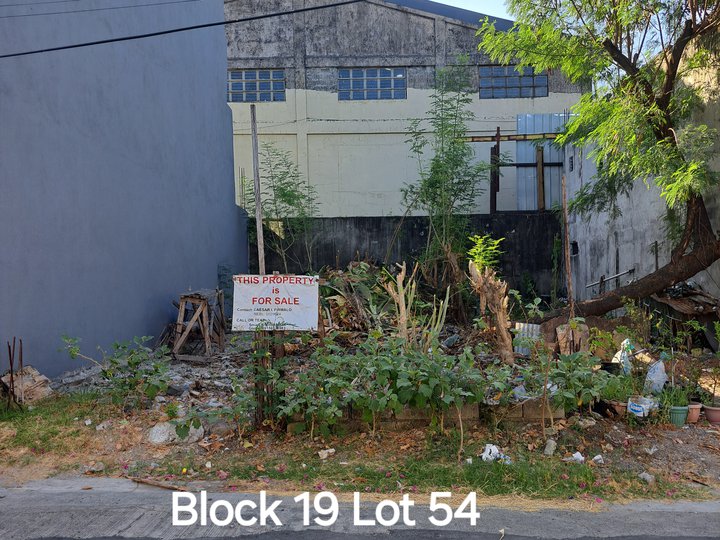 90 sqm Residential Lot For Sale at BLS-Annex 31,  Paranaque City