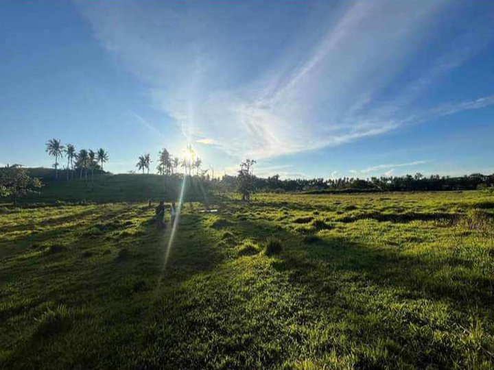 Siargao Gen.Luna Lot_Direct Owner [Lot 🚜] (March 2024) in General Luna