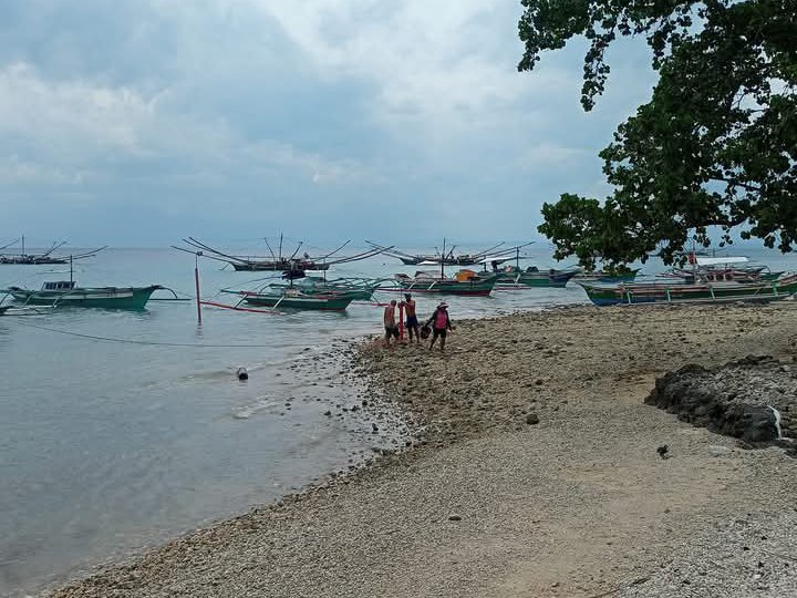 For sale 12.7 hectares lot property w/beachfront.