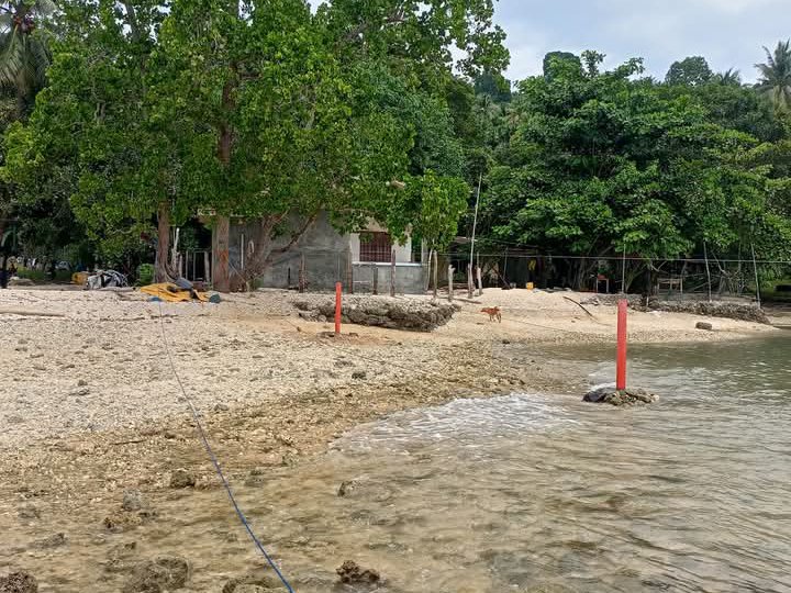 13hctrs lot w/100mtr seafront in samal island facing davao city, For clarification info pls contact.