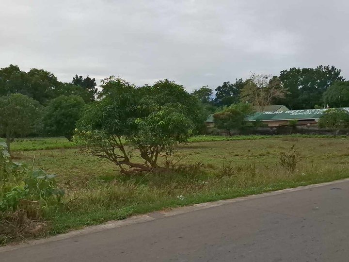 1 hectare Commercial area lot for sale at brgy palina west Urdaneta City Pangasinan