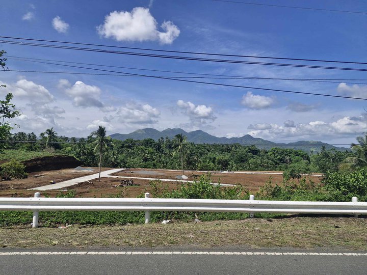 250 sqm Residential Lot for Sale in Magallanes Cavite