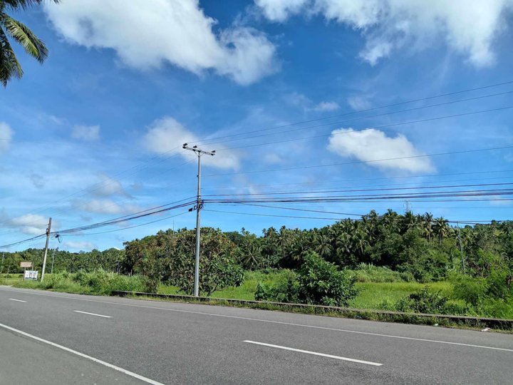 Commercial Lot For Sale in Santa Margarita Samar
