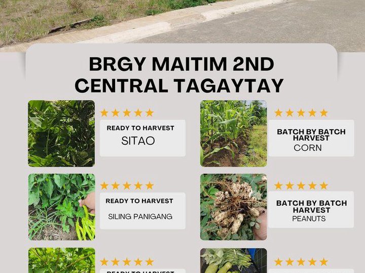 287 sqm Residential Lot For Sale in Tagaytay City