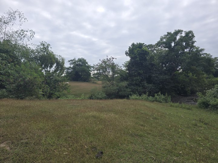 Farm lot with overlooking mountain View 20,700 sqm